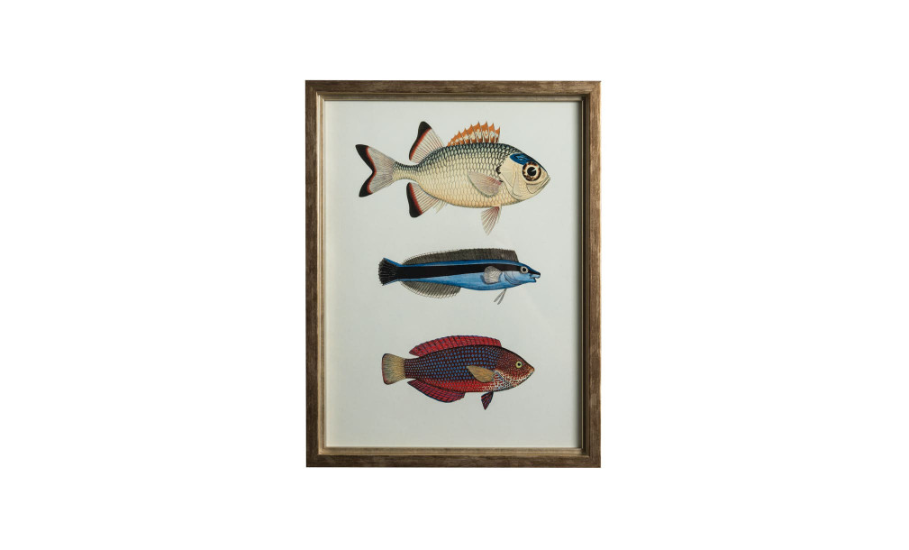 Постер The Fishes Collection, набор 4 шт