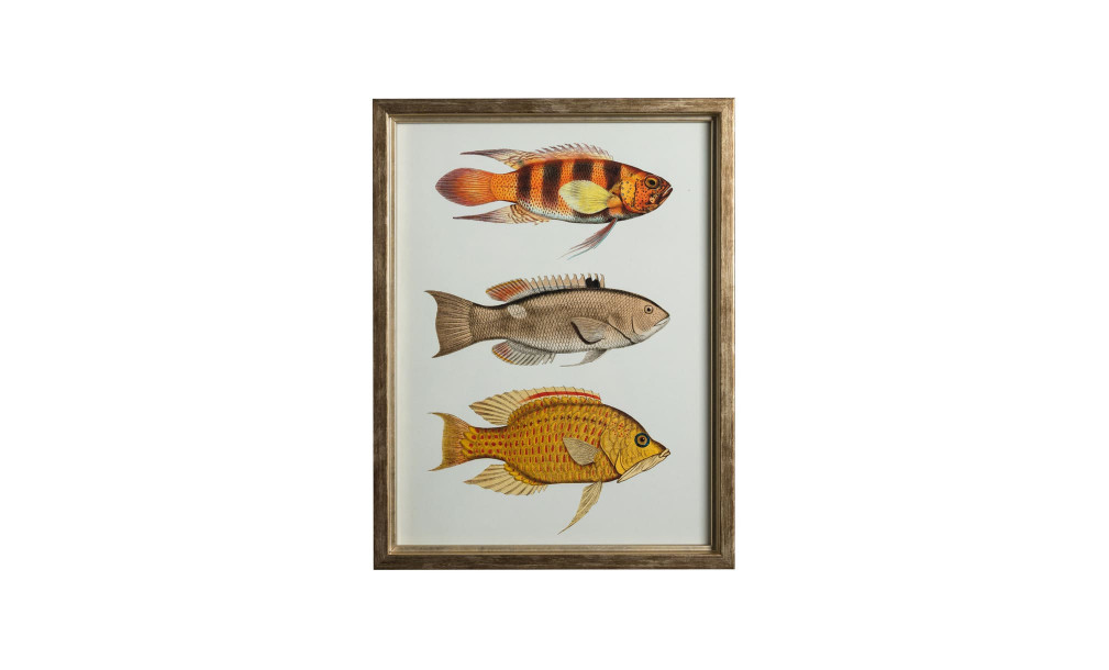 Постер The Fishes Collection, набор 4 шт