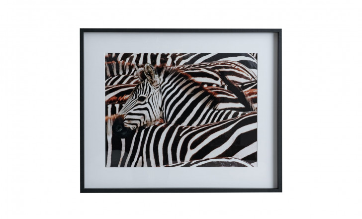 Постер Zebras